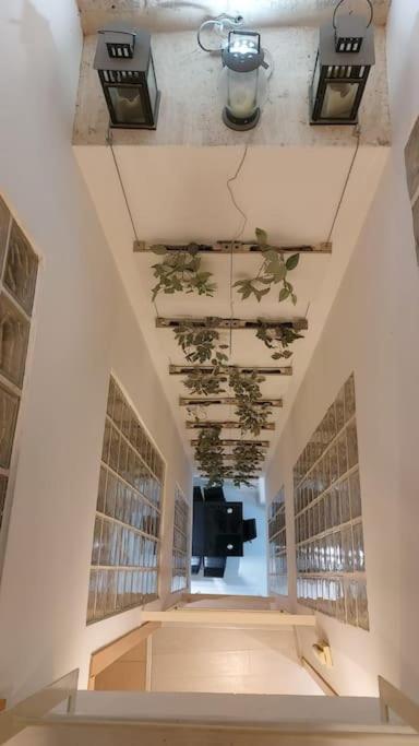 Luxury Complete Building In The Heart Of إشبيلية المظهر الخارجي الصورة