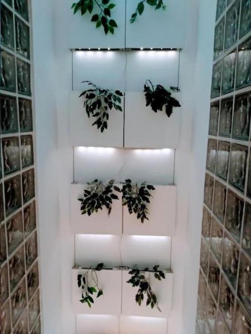 Luxury Complete Building In The Heart Of إشبيلية المظهر الخارجي الصورة